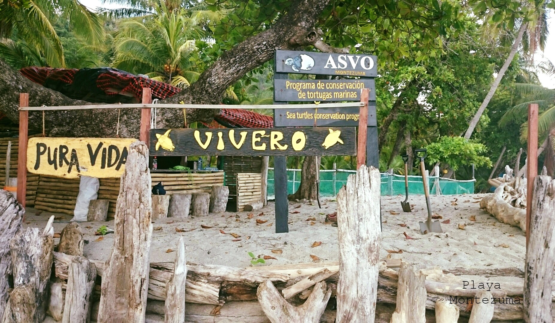 Voluntariado ambiental en Montezuma, Puntarenas